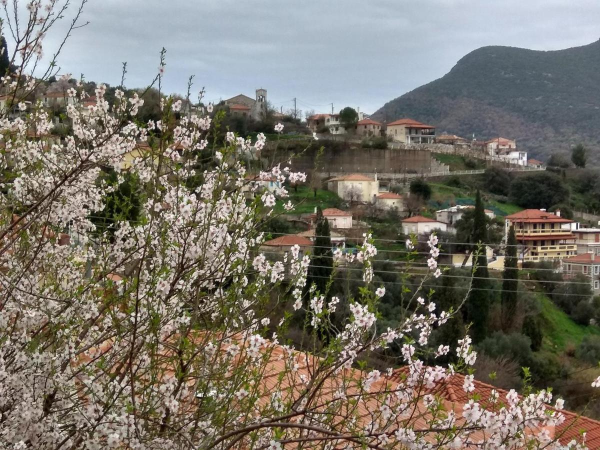 Apartment Vintage House With A Fantastic View *